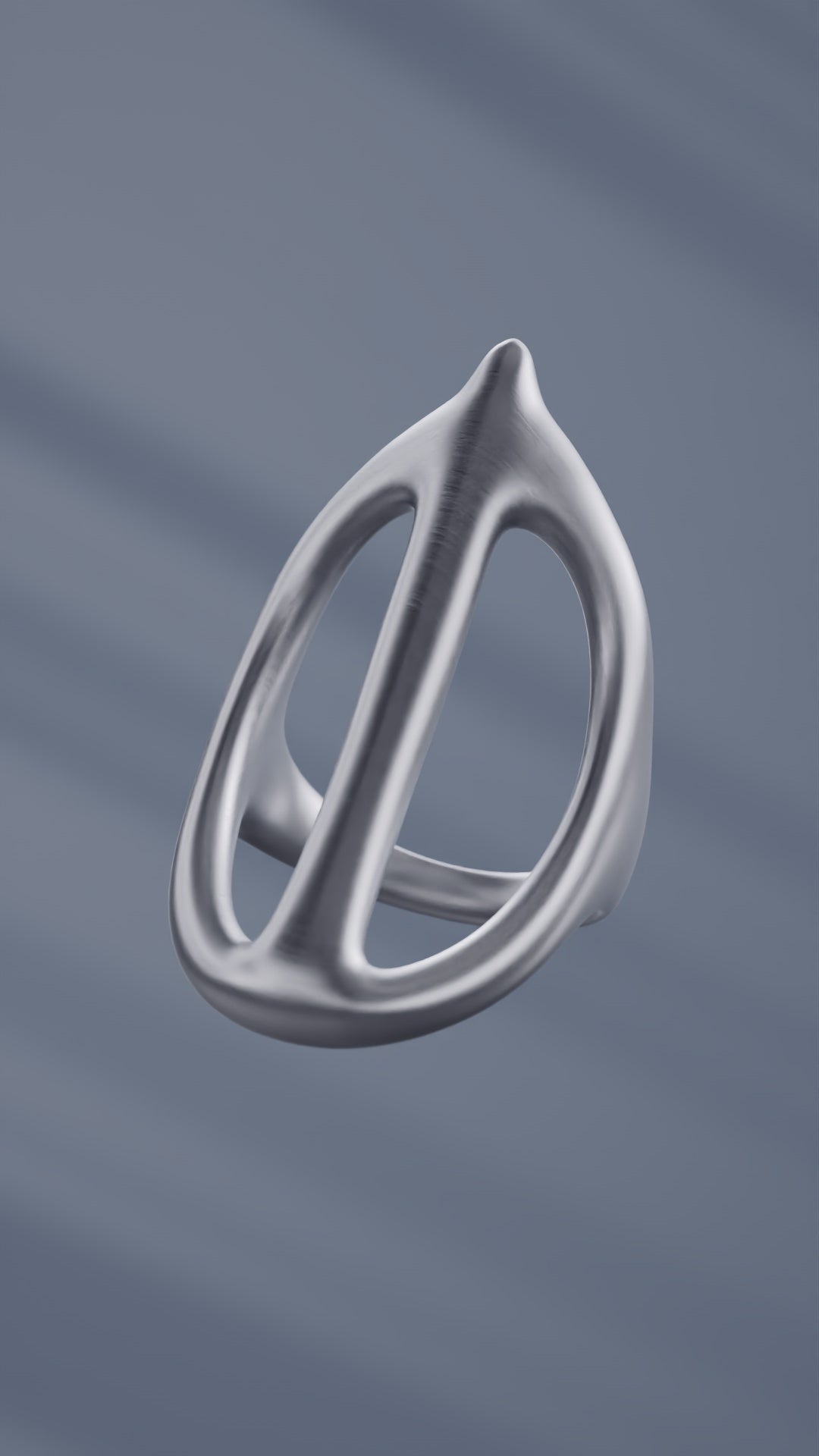 Dual Ring