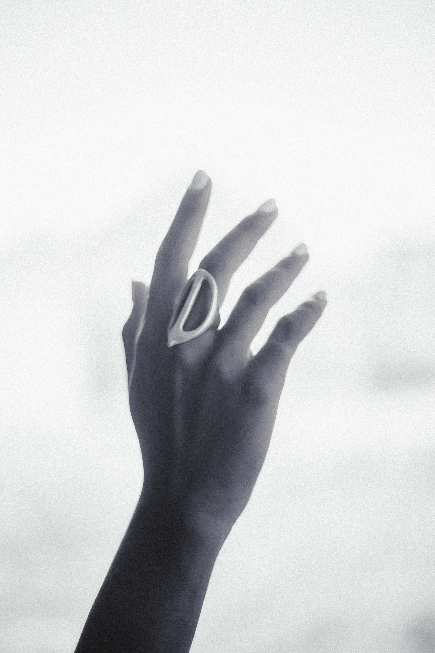 Dual Ring